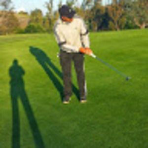 Meet your Posher, Elvin